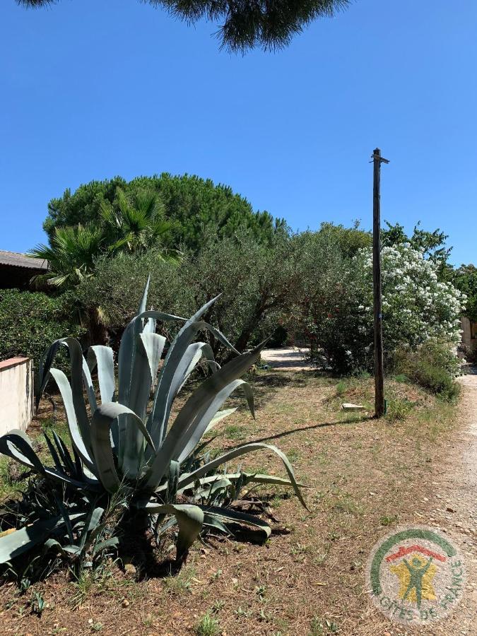 Mas De Plisset Appartement Saint-Gilles  Buitenkant foto